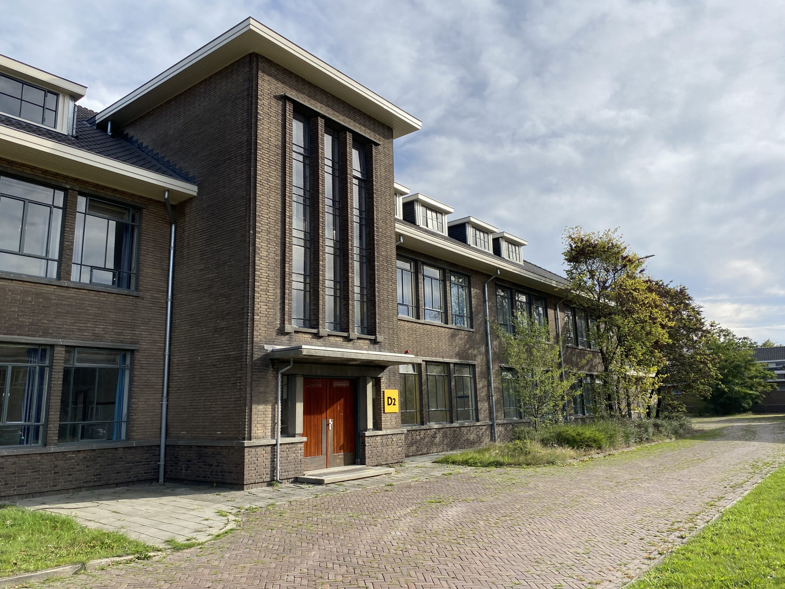Kenmerken