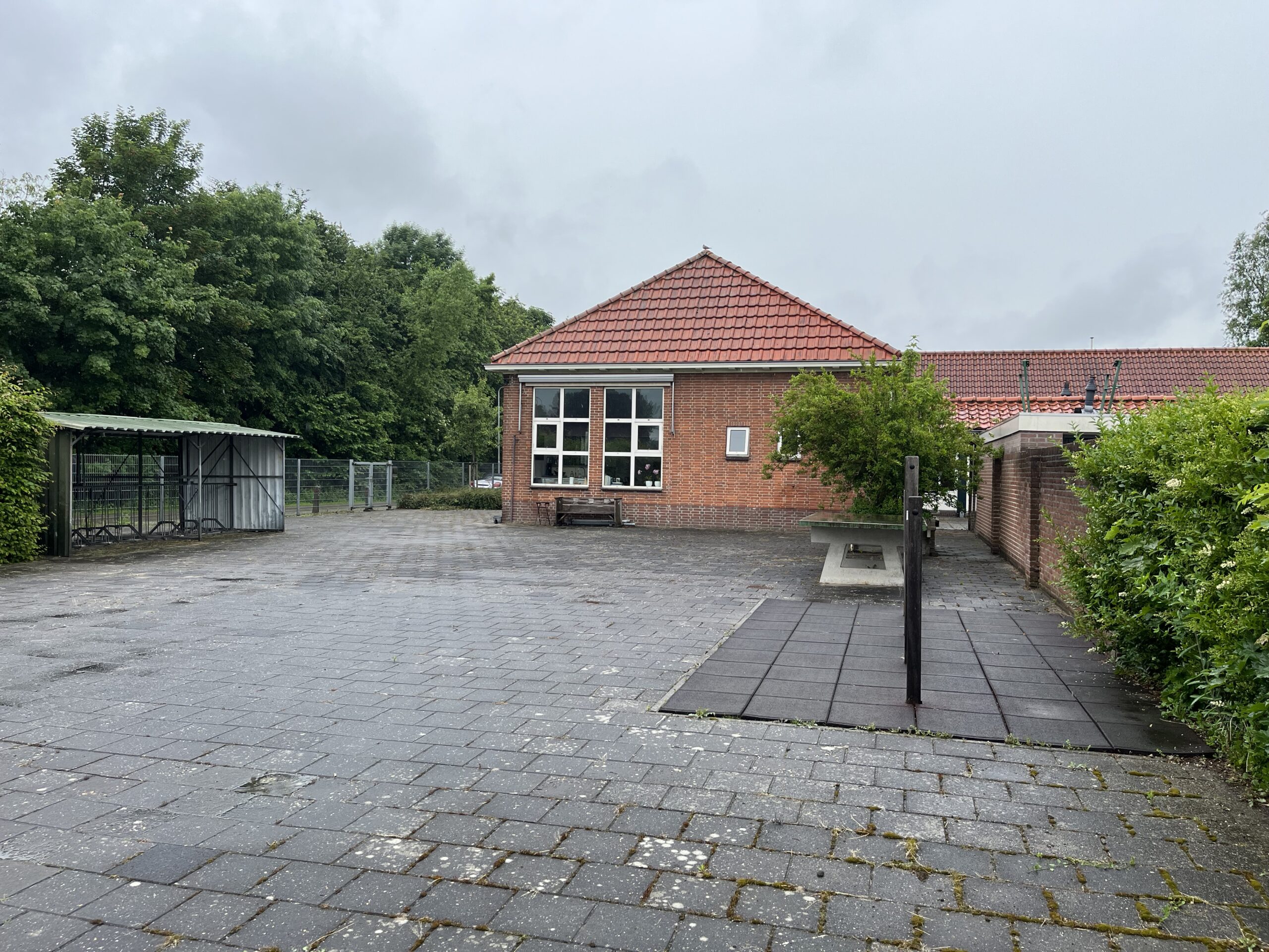 Kenmerken
